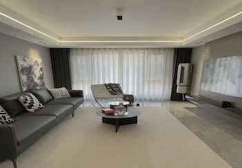 現代簡約效果案例